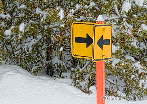 This Way. No, That Way_3219.jpg - Photographed in the Marlborough Forest near Burritts Rapids, Ontario, Canada.